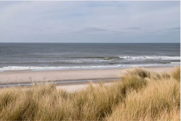 Texel zee