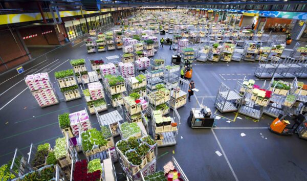 Mensen aan het werk op bloemenveiling